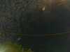 20241004233037-G0016485.JPG