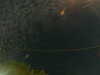 20241004233108-G0016487.JPG