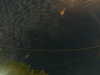 20241004233239-G0016493.JPG