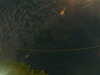 20241004233629-G0016508.JPG