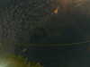 20241004233644-G0016509.JPG