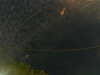 20241004233902-G0016518.JPG