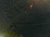 20241004234003-G0016522.JPG
