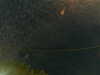 20241004234018-G0016523.JPG