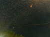 20241004234033-G0016524.JPG