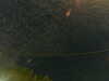 20241004234150-G0016529.JPG