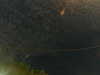20241004234236-G0016532.JPG