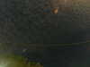 20241004234352-G0016537.JPG