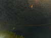 20241004234423-G0016539.JPG