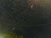 20241004234438-G0016540.JPG