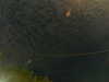 20241004234508-G0016542.JPG