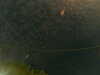 20241004234524-G0016543.JPG