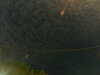 20241004234539-G0016544.JPG