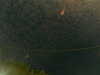 20241004234610-G0016546.JPG