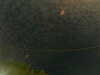 20241004234640-G0016548.JPG