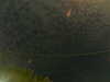 20241004234726-G0016551.JPG