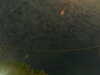 20241004234827-G0016555.JPG