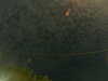 20241004234913-G0016558.JPG