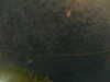 20241004235045-G0016564.JPG