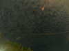 20241004235100-G0016565.JPG