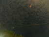 20241004235115-G0016566.JPG