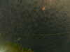 20241004235201-G0016569.JPG