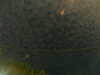 20241004235217-G0016570.JPG