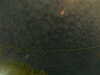 20241004235247-G0016572.JPG