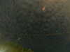 20241004235318-G0016574.JPG
