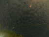 20241004235404-G0016577.JPG