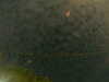 20241004235434-G0016579.JPG