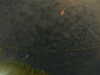 20241004235520-G0016582.JPG
