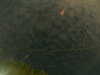 20241004235551-G0016584.JPG