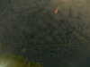 20241004235722-G0016590.JPG