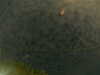20241004235753-G0016592.JPG