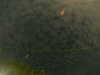 20241004235838-G0016595.JPG