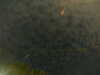 20241004235923-G0016598.JPG