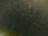 2024-10-05:Santander
