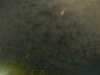 20241005000336-G0016615.JPG