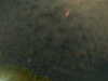 20241005000351-G0016616.JPG