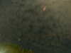 20241005000406-G0016617.JPG