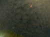 20241005000421-G0016618.JPG