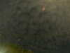 20241005000505-G0016621.JPG