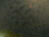 20241005000549-G0016624.JPG