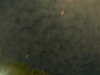 20241005000702-G0016629.JPG