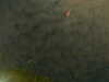 20241005000746-G0016632.JPG