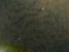20241005000814-G0016634.JPG
