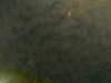 20241005000828-G0016635.JPG