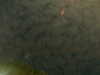 20241005000843-G0016636.JPG