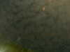 20241005000857-G0016637.JPG